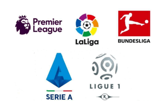 预计他们的 预计他们的